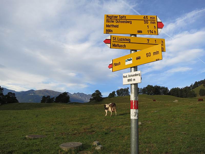 Das Schweizer Dorf Fläsch will von der Landkarte verschwinden