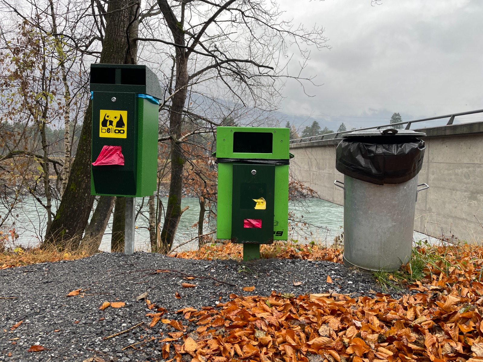 Fläsch ist auf den Hund gekommen